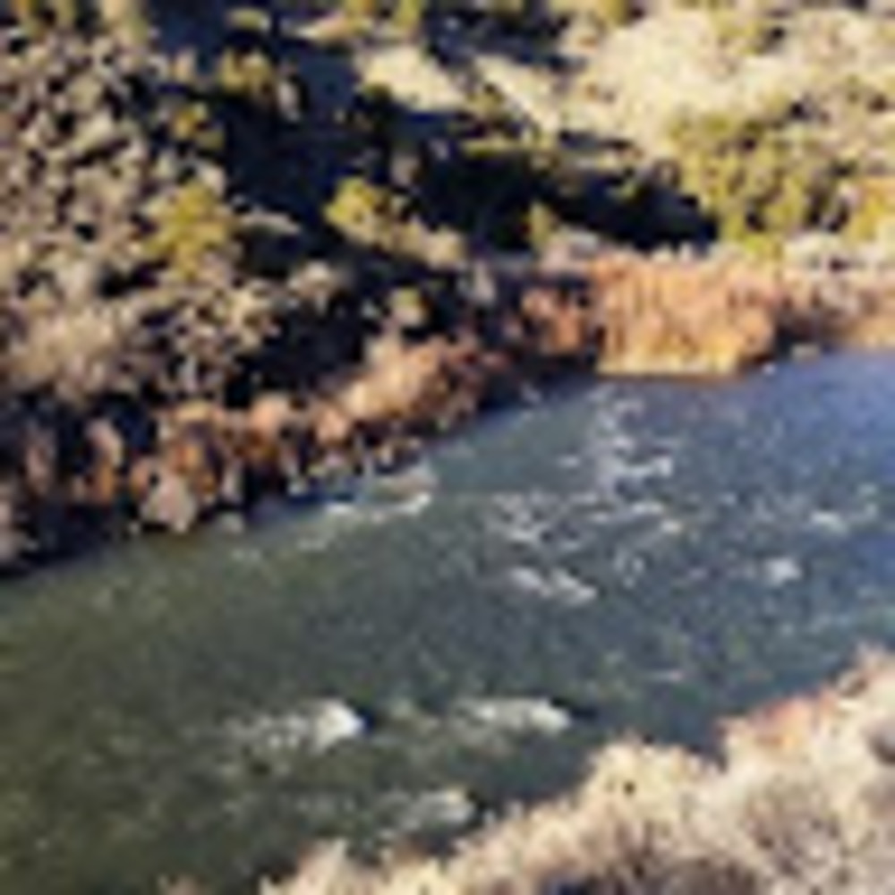 Meet your Posher, Cecilia